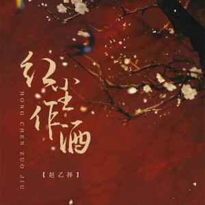 Album 红尘作酒 from 赵乙择