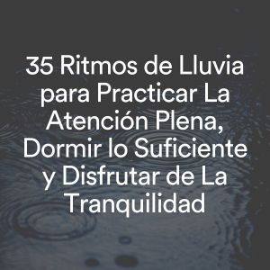 ดาวน์โหลดและฟังเพลง Gotas del Cielo พร้อมเนื้อเพลงจาก Sonidos De Truenos y Lluvia