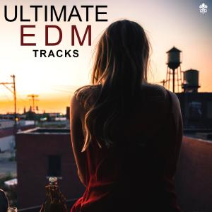 Sebaztian的專輯Ultimate EDM Tracks