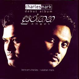 收聽Charles Mark的Tribute歌詞歌曲