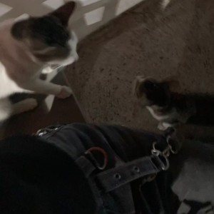 Dengarkan lagu My tear (feat. N) nyanyian Yxn KILA dengan lirik