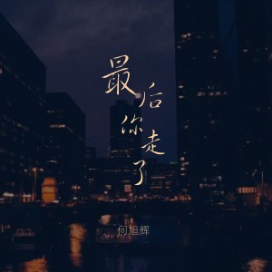 Album 最后你走了 from 禾旭徽