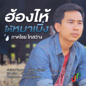 Listen to ฮ้องไห้ให้หมาเบิ้ง song with lyrics from ภาคไชย ไทสว่าง