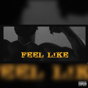 Album Feel Like (Explicit) from Don Osa