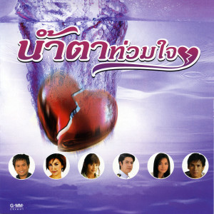 ดาวน์โหลดและฟังเพลง น้ำตาผ่าเหล้า พร้อมเนื้อเพลงจาก ไมค์ ภิรมย์พร