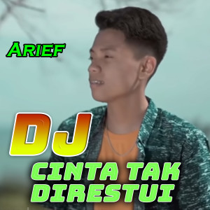Listen to Cinta Tak Direstui DJ song with lyrics from Arief