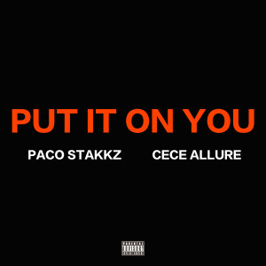Paco stakkz的專輯Put It On You (Explicit)