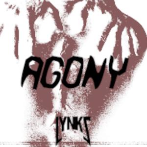 Listen to Agony song with lyrics from Lynks