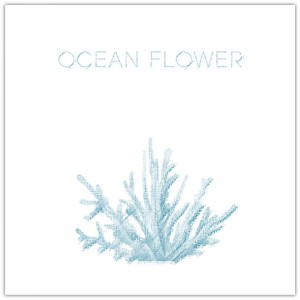 Album Ocean Flower from 오만