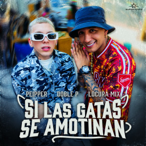 ดาวน์โหลดและฟังเพลง Si Las Gatas Se Amotinan พร้อมเนื้อเพลงจาก Peipper