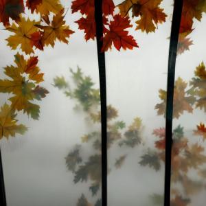 收聽Alex Palmer的Autumn Arpeggios歌詞歌曲