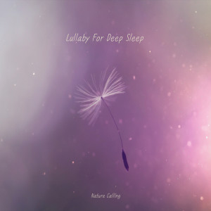 Album Lullaby For Deep Sleep from 네이쳐콜링