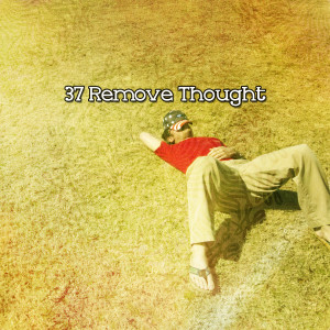 37 Remove Thought dari Classical Lullabies
