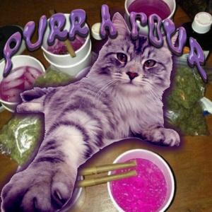 收聽GABEDOESNTSLEEP的purr a four (Explicit)歌詞歌曲