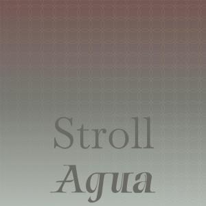 Various Artists的專輯Stroll Agua