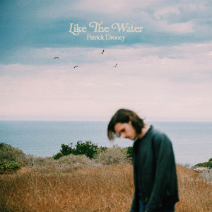 ดาวน์โหลดและฟังเพลง Like the Water พร้อมเนื้อเพลงจาก Patrick Droney