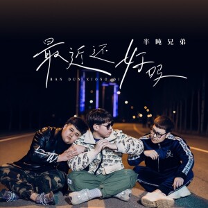 Album 最近还好吗(DJ九零版) from 半吨兄弟