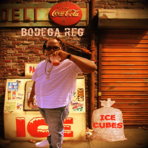 อัลบัม Ice Cubes ศิลปิน Bodega Reg
