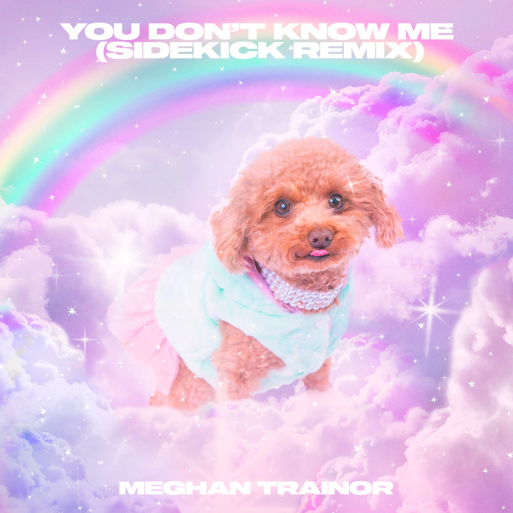 You Don't Know Me (Sidekick Remix)