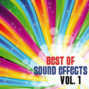 Album Best of Sound Effects. Royalty Free Sounds and Backing Loops for TV, Video, Youtube, DJ, Broadcasting and More, Vol. 1. oleh DJ Sound Effects