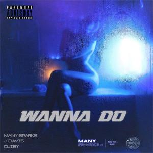 J. Davis的專輯Wanna Do (Explicit)