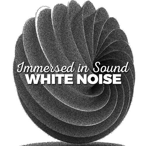 White Noise: Noise Flow