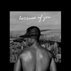 อัลบัม Because of You (Explicit) ศิลปิน Renegade