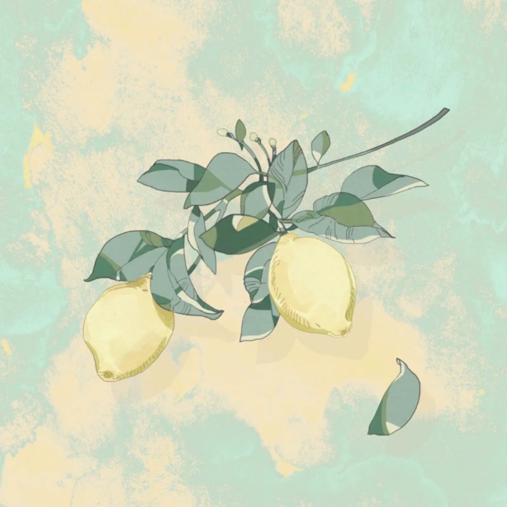 Lemon (完整版)