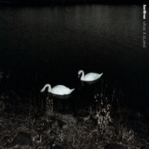 ดาวน์โหลดและฟังเพลง Våge Å Elske พร้อมเนื้อเพลงจาก Ane Brun