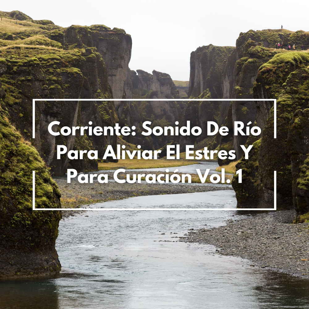 Madera Sobre El Arroyuelo