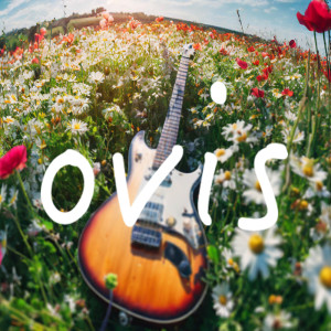 Dengarkan lagu カサブタ nyanyian Ovis dengan lirik