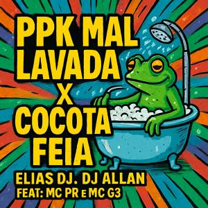 收聽Elias Dj的PPK MAL LAVADA X COCOTA FEIA (feat. DJ Allan & MC G3|Explicit)歌詞歌曲
