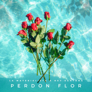 ดาวน์โหลดและฟังเพลง Perdón Flor พร้อมเนื้อเพลงจาก La Materialista