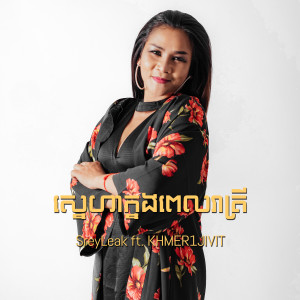 Listen to ស្នេហាក្នងពេលរាត្រី (Remix) song with lyrics from SreyLeak