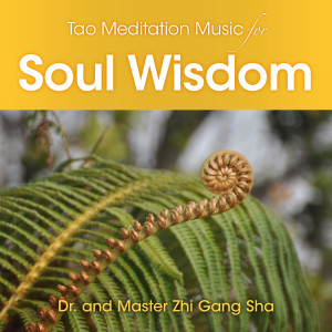 Tao Meditation Music for Soul Wisdom dari Dr. & Master Zhi Gang Sha