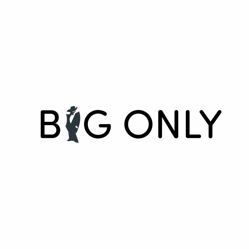 BIG TALK (feat. BDG) (Explicit)