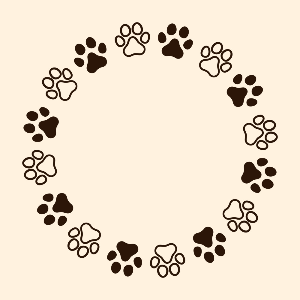 Piano Paws Whispers