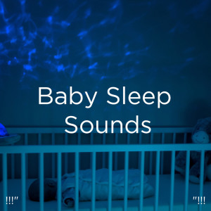 Dengarkan Mary Had A Little Lamb (Toddler Sleep) lagu dari White Noise dengan lirik