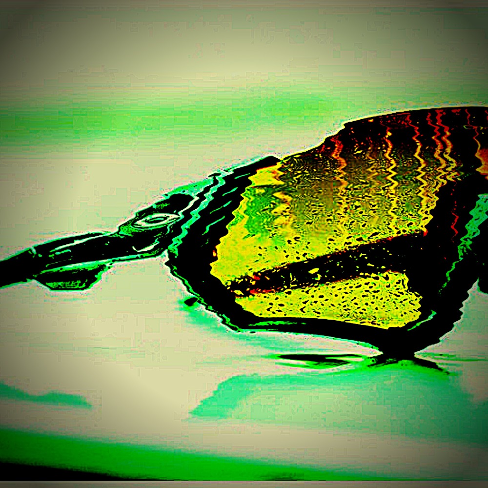 Polarizado