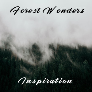 ดาวน์โหลดและฟังเพลง Inspiration พร้อมเนื้อเพลงจาก Forest Wonders