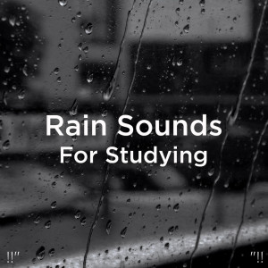 Dengarkan Suara Hujan Santai lagu dari Meditation Rain Sounds dengan lirik