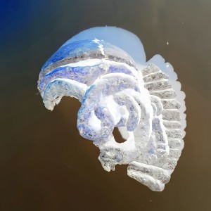 ดาวน์โหลดและฟังเพลง Calmados (Explicit) พร้อมเนื้อเพลงจาก MAF B