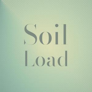 Various Artists的專輯Soil Load