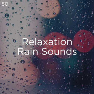 Dengarkan White Noise Rain lagu dari Meditation Rain Sounds dengan lirik