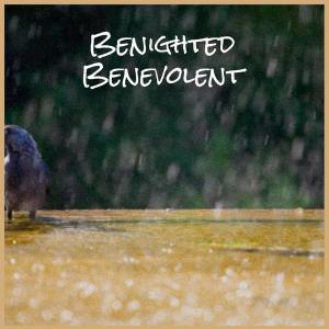 Album Benighted Benevolent oleh Various