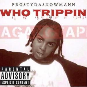 Listen to Fuck 12 song with lyrics from Frostydasnowmann