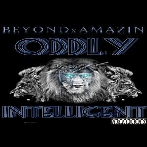 ดาวน์โหลดและฟังเพลง The Way (feat. SoulTy) (Explicit) พร้อมเนื้อเพลงจาก Beyondxamazin