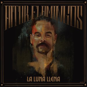 Album La Luna LLena (En Directo) from Aitor Flamingos