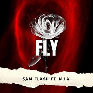 Dengarkan FLY lagu dari Sam Flash dengan lirik