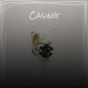 Album Casing from Various
